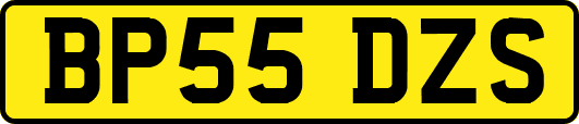 BP55DZS