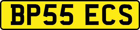 BP55ECS