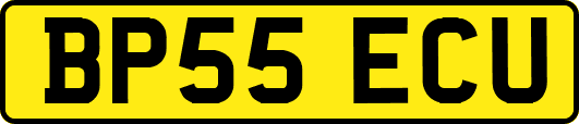 BP55ECU