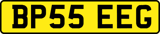 BP55EEG