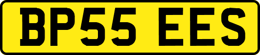 BP55EES