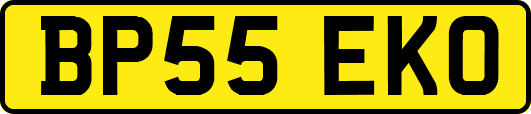 BP55EKO