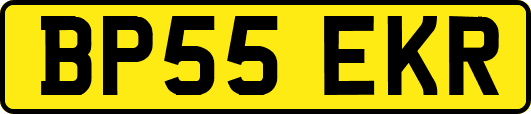 BP55EKR