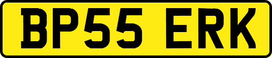 BP55ERK