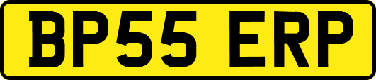 BP55ERP
