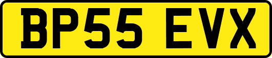 BP55EVX