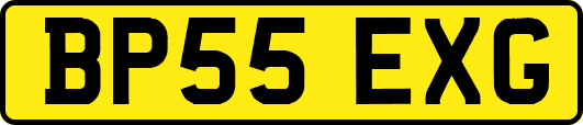 BP55EXG