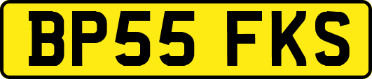 BP55FKS