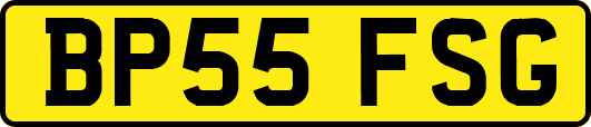 BP55FSG