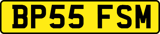 BP55FSM