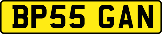 BP55GAN