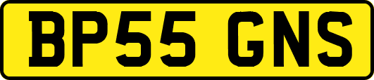 BP55GNS