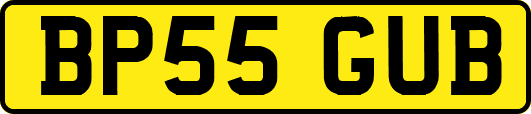 BP55GUB