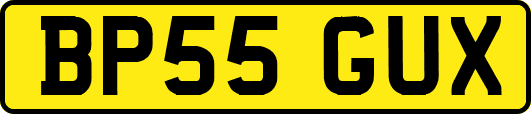 BP55GUX