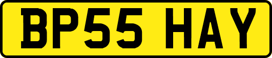 BP55HAY