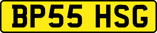 BP55HSG