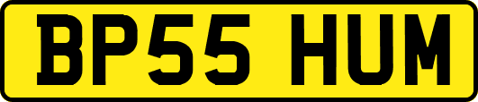 BP55HUM