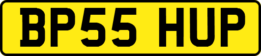 BP55HUP