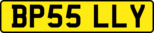 BP55LLY