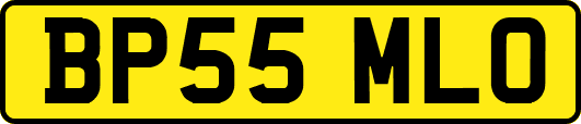 BP55MLO