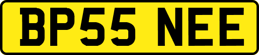 BP55NEE