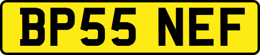 BP55NEF