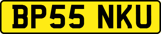 BP55NKU