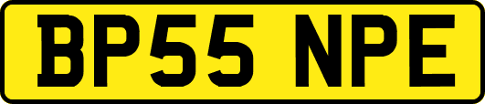 BP55NPE