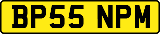 BP55NPM