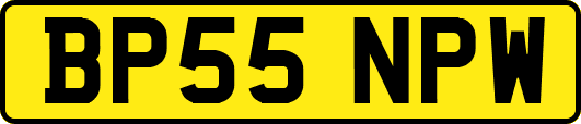 BP55NPW