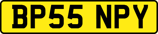 BP55NPY