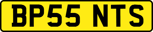 BP55NTS