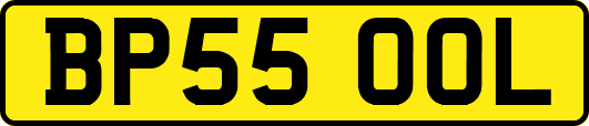 BP55OOL