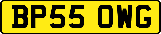 BP55OWG