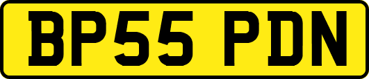 BP55PDN