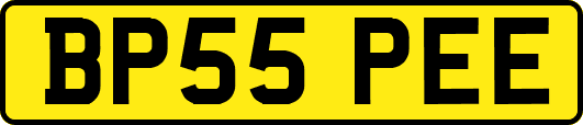 BP55PEE