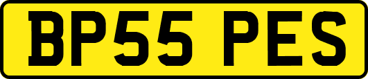 BP55PES