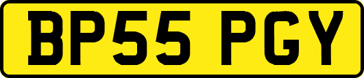 BP55PGY