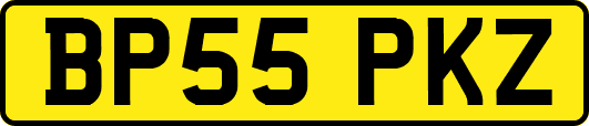 BP55PKZ