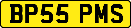 BP55PMS