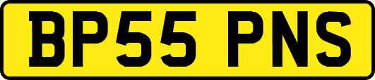 BP55PNS