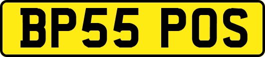BP55POS