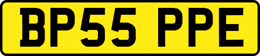 BP55PPE