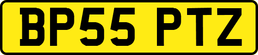 BP55PTZ