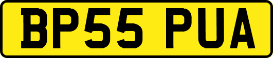 BP55PUA