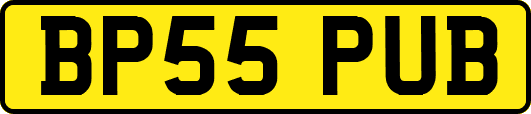 BP55PUB