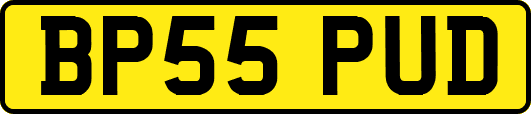 BP55PUD