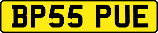 BP55PUE