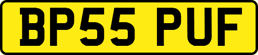 BP55PUF