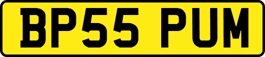 BP55PUM